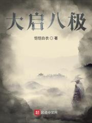 大八极拳视频