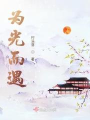 因光而遇文案