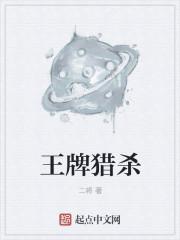 王牌杀手是什么