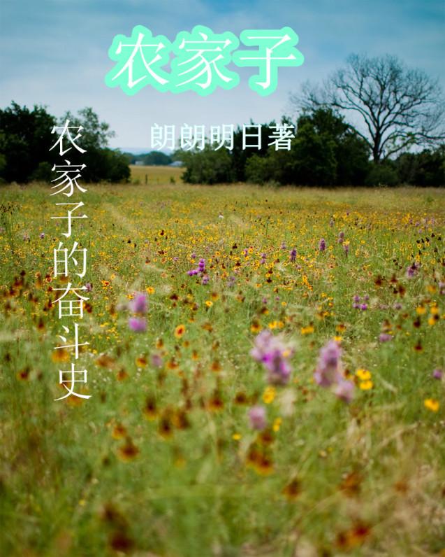 农家子的青云路全文免费阅读