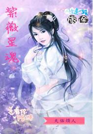 紫薇星系排序表