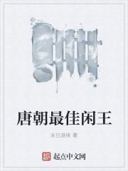 大唐最佳闲王 全集