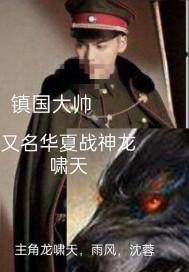 镇国狂帅