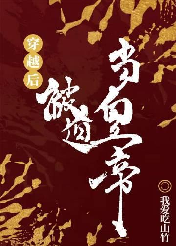 穿越后被迫登基无错