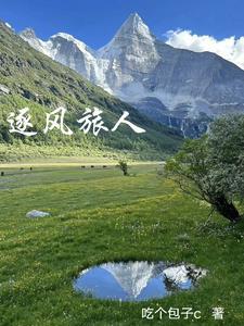 逐风者任务