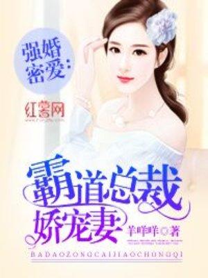 霸道总裁宠妻大全