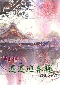 红楼之迎春为妃