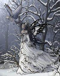 遥远的爱韩雪赵明诚