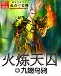 火炼啥意思