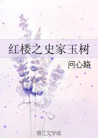 红楼之贾史氏