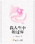 人生中的过客经典句子