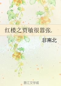 红楼之贾敏重生的