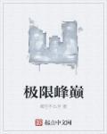 极限巅峰百科