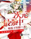 二次元最强的能力