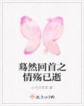 蓦然回首情已远是什么意思