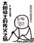 太阳骑士剧情