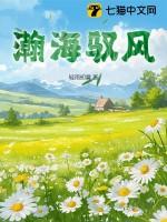 瀚海是指什么东西