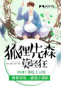 狐狸先生夜里来免费阅读
