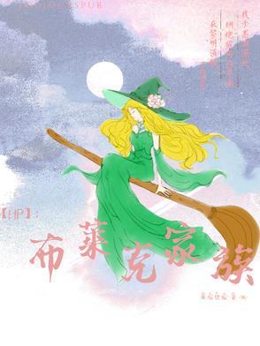 hp布莱克家族同人文推荐