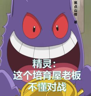精灵培养类