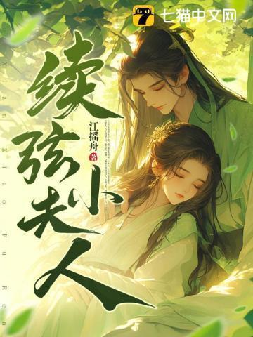 续弦小夫人原著结局