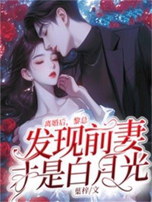离婚后总裁前夫日日追妻
