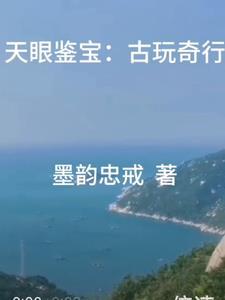 天眼鉴宝txt