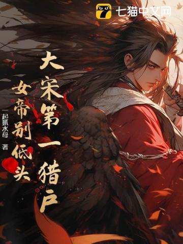 大宋第一女婿 奇书网