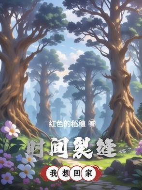 时间裂缝免费听