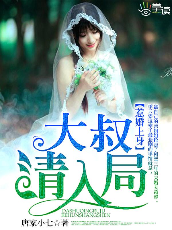 惹婚上门全文