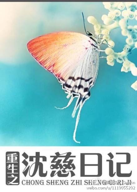 重生之沈岸全文免费阅读