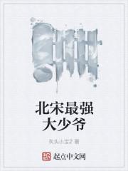 北宋少年大将军