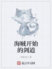 海贼剑道系统