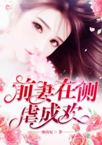 前妻在侧虐成欢作者雁南妃