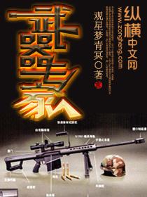 武器专家昌教授