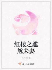 尴尬夫妻红楼梦
