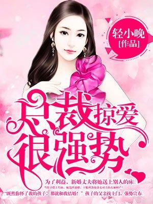 总裁掠爱成婚