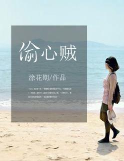 偷心贼电影剧情简介