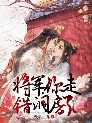将军你走错洞房了视频