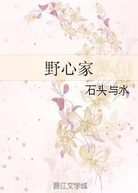 野心家孙綝技能