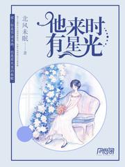 他来时星光璀璨快穿