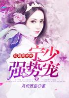 男主叫宁少辰