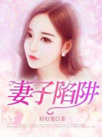 妻子陷阱免费观看电视剧全集