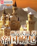 金刚2帝国崛起