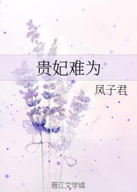贵妃难为好看吗?