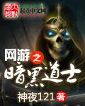 网游之黑暗道士评价