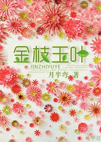 金枝玉叶掉叶是什么原因