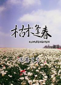 枯木逢春歌词