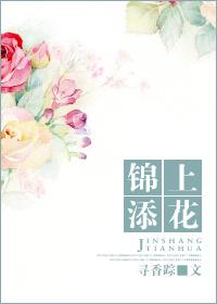 锦上添花三一来打一数字