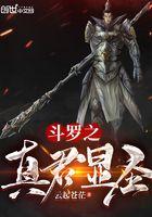 斗罗之真君显圣TXT